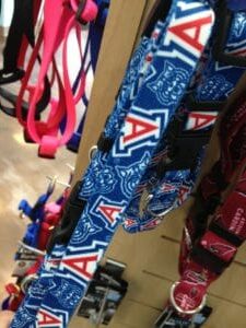 Arizona Wildcat accessories photographed on the original shop display